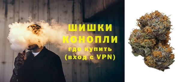 apvp Богородицк