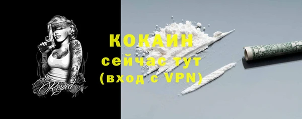 не бодяженный Богданович