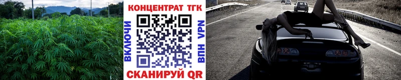 Купить  Судогда  Дистиллят ТГК гашишное масло 