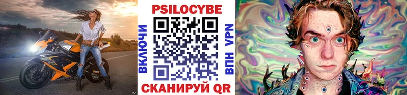 Псилоцибиновые грибы Psilocybe  Купить закладки  Судогда 